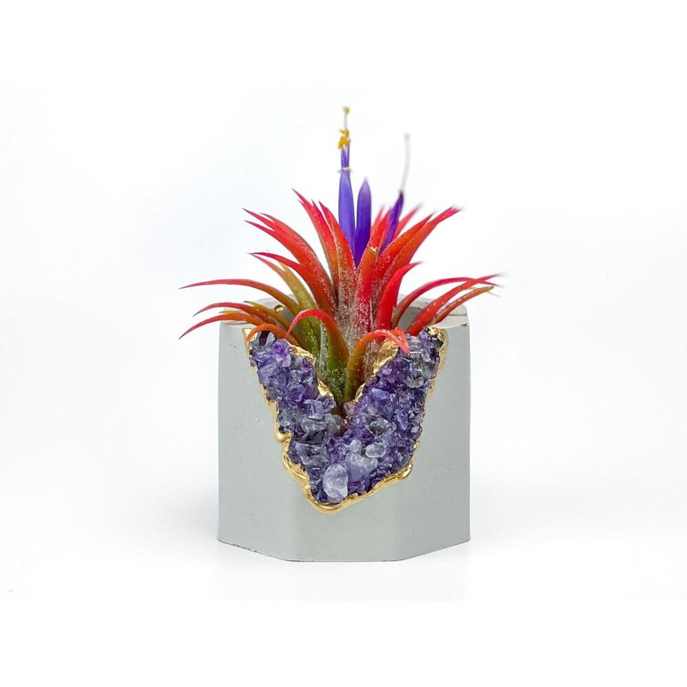 Amethyst Crystal Concrete Planter | Geode Succulent Pot